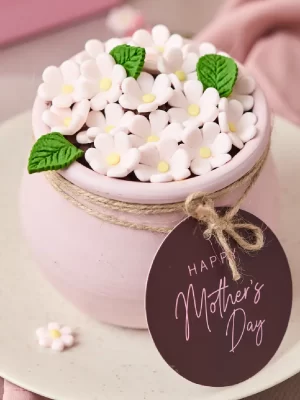 Maceta de torta de chocolate