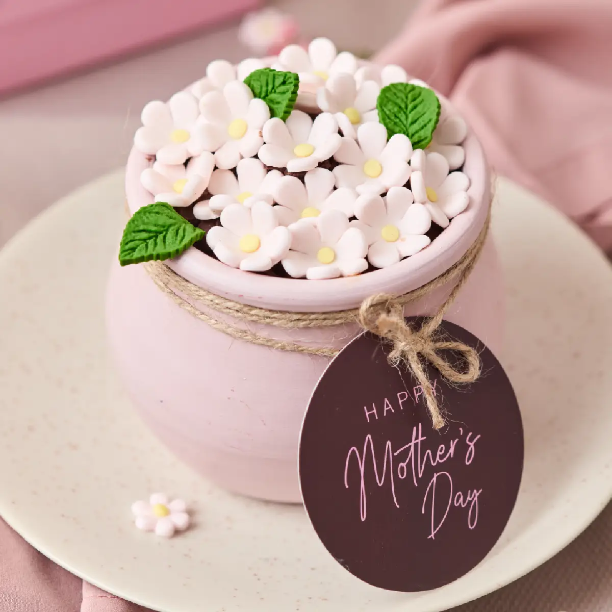 Maceta de torta de chocolate